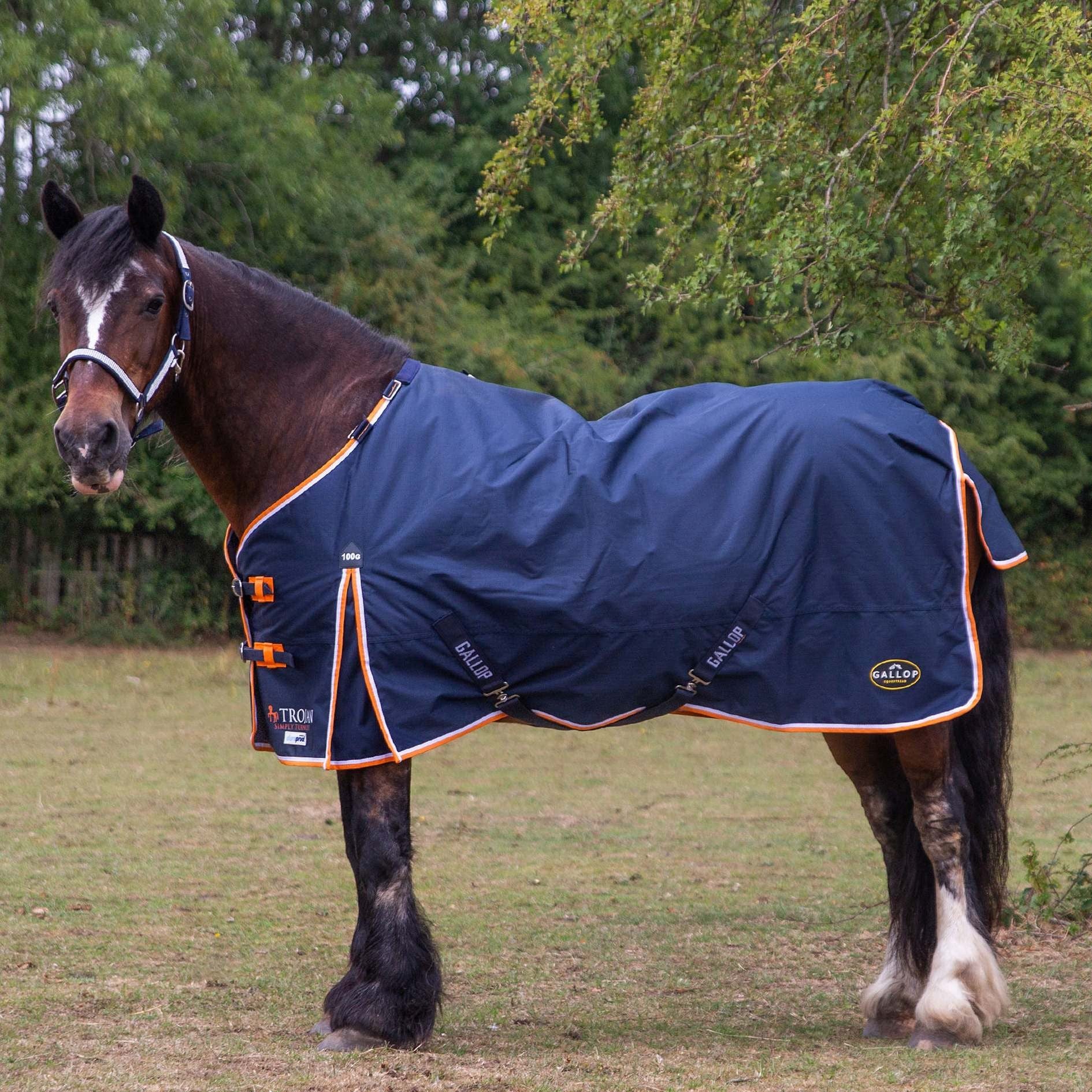 Gallop Trojan / Ponie Duraproof 100g Horse Turnout Rug, Std Neck Lightweight Rug