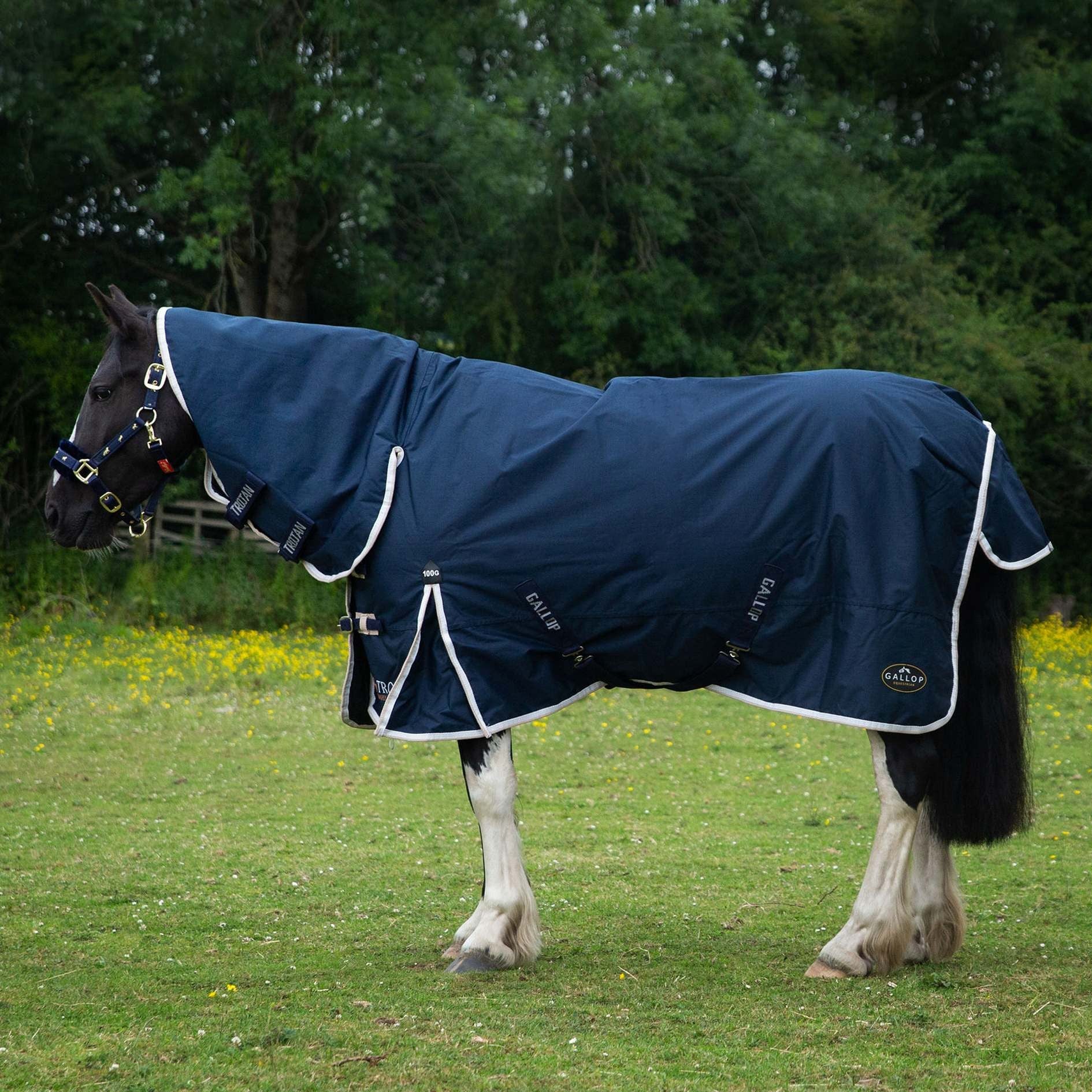 Gallop Trojan / Ponie 100G Duraproof Horse Turnout Rug Full Neck Combo