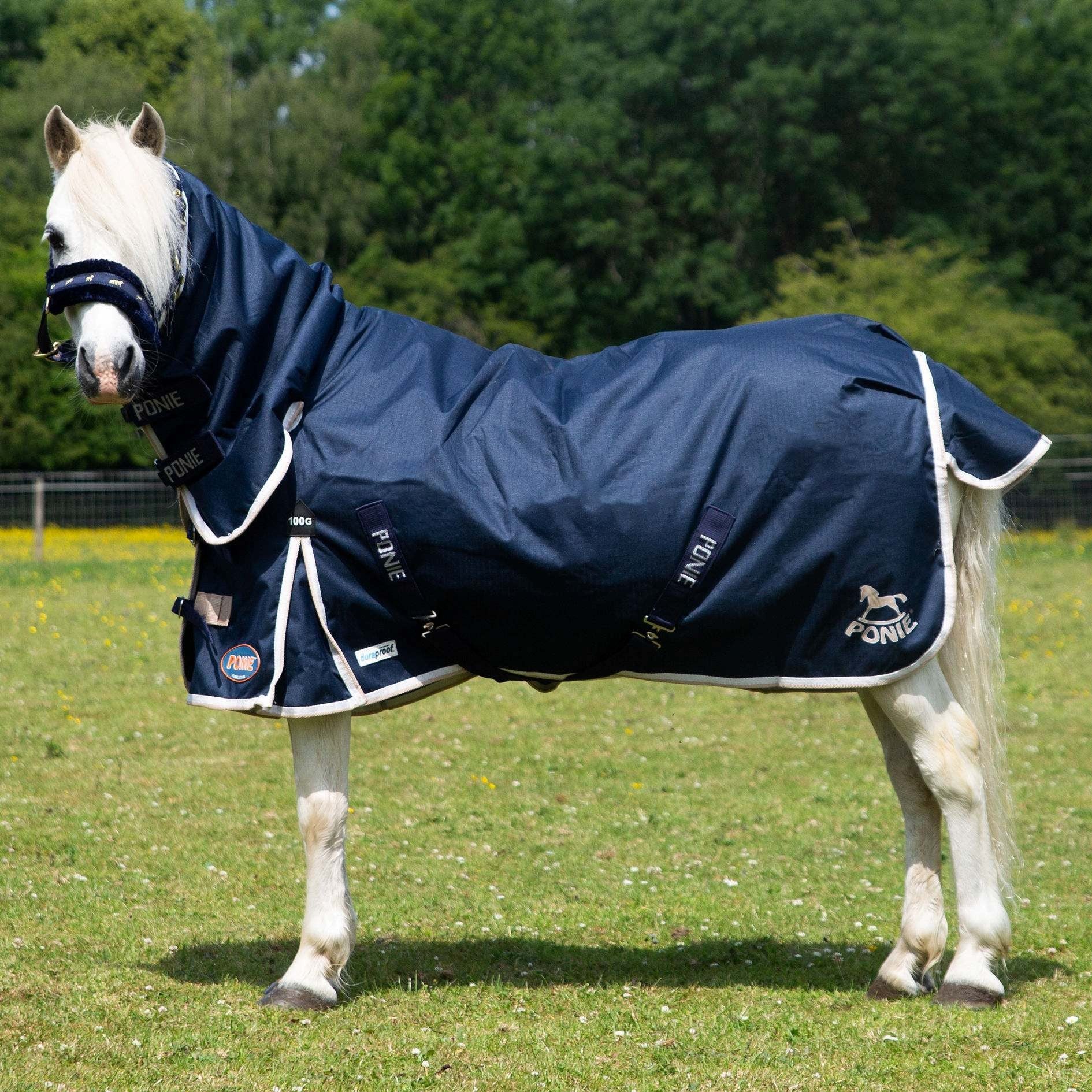 Gallop Trojan / Ponie 100G Duraproof Horse Turnout Rug Full Neck Combo
