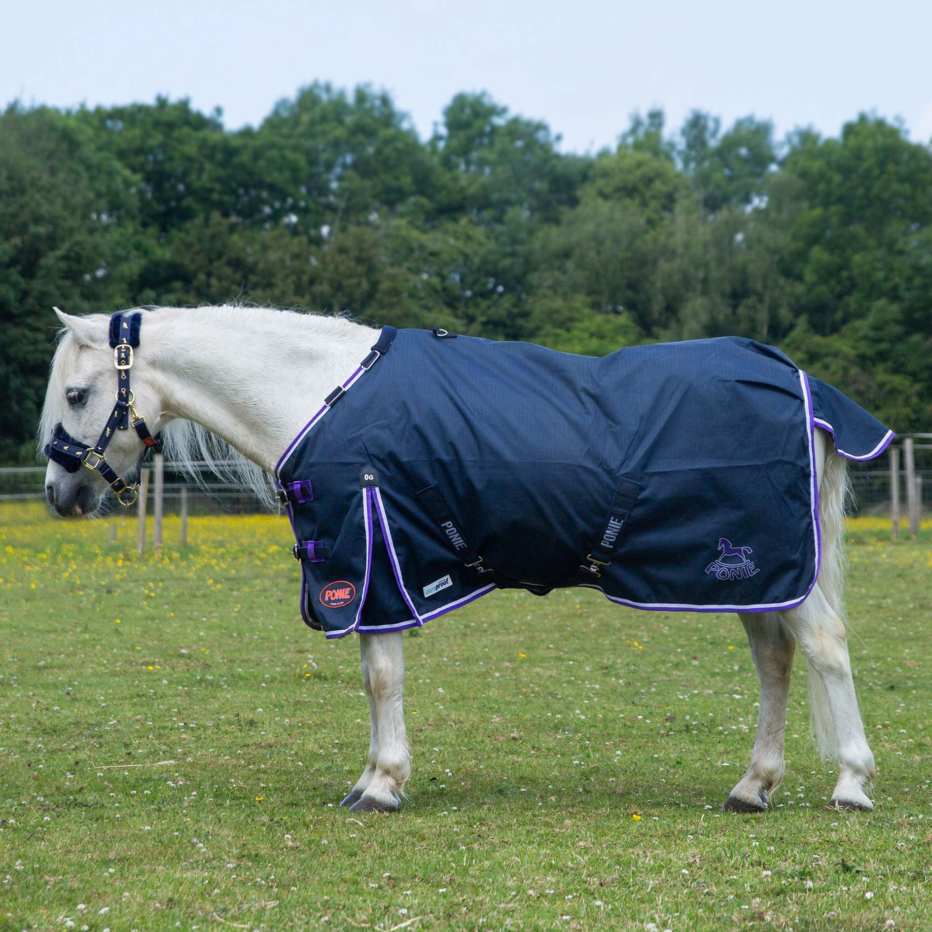 Gallop TROJAN/PONIE Duraproof Lightweight 0g Turnout, Std Neck Lightweight Rug