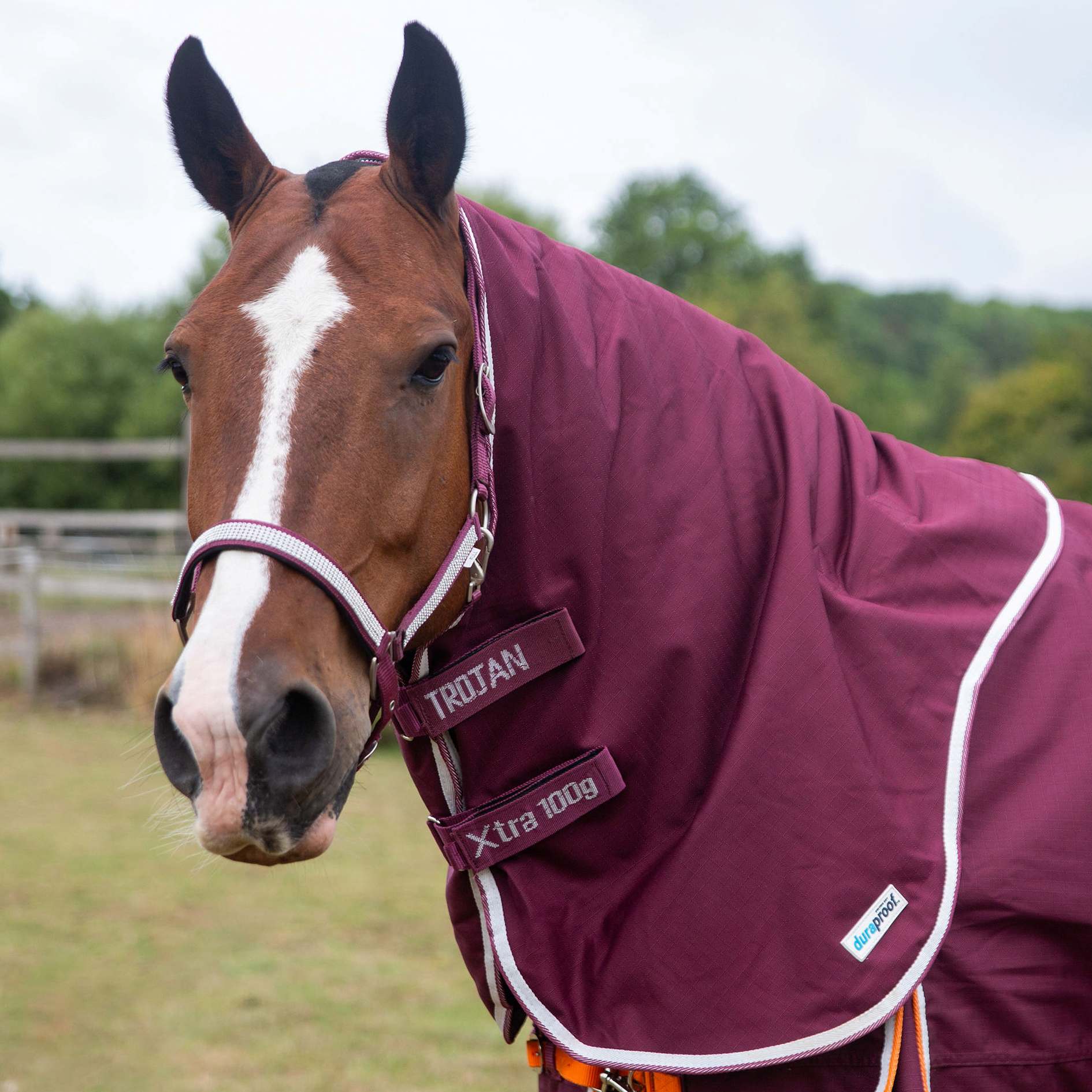 Gallop TROJAN Xtra Duraproof Rug 100g  Neck Cover, Outdoor.