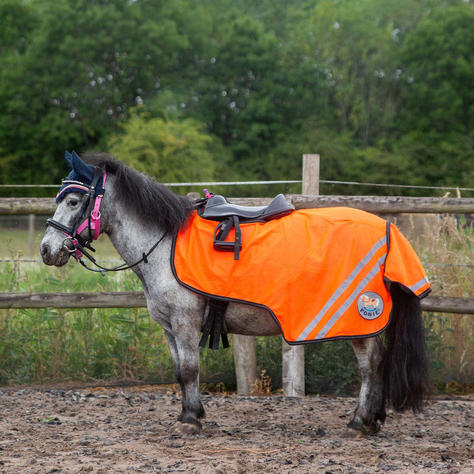 Gallop TROJAN/PONIE Retro Reflective Mesh Exercise Sheet, Orange or Yellow