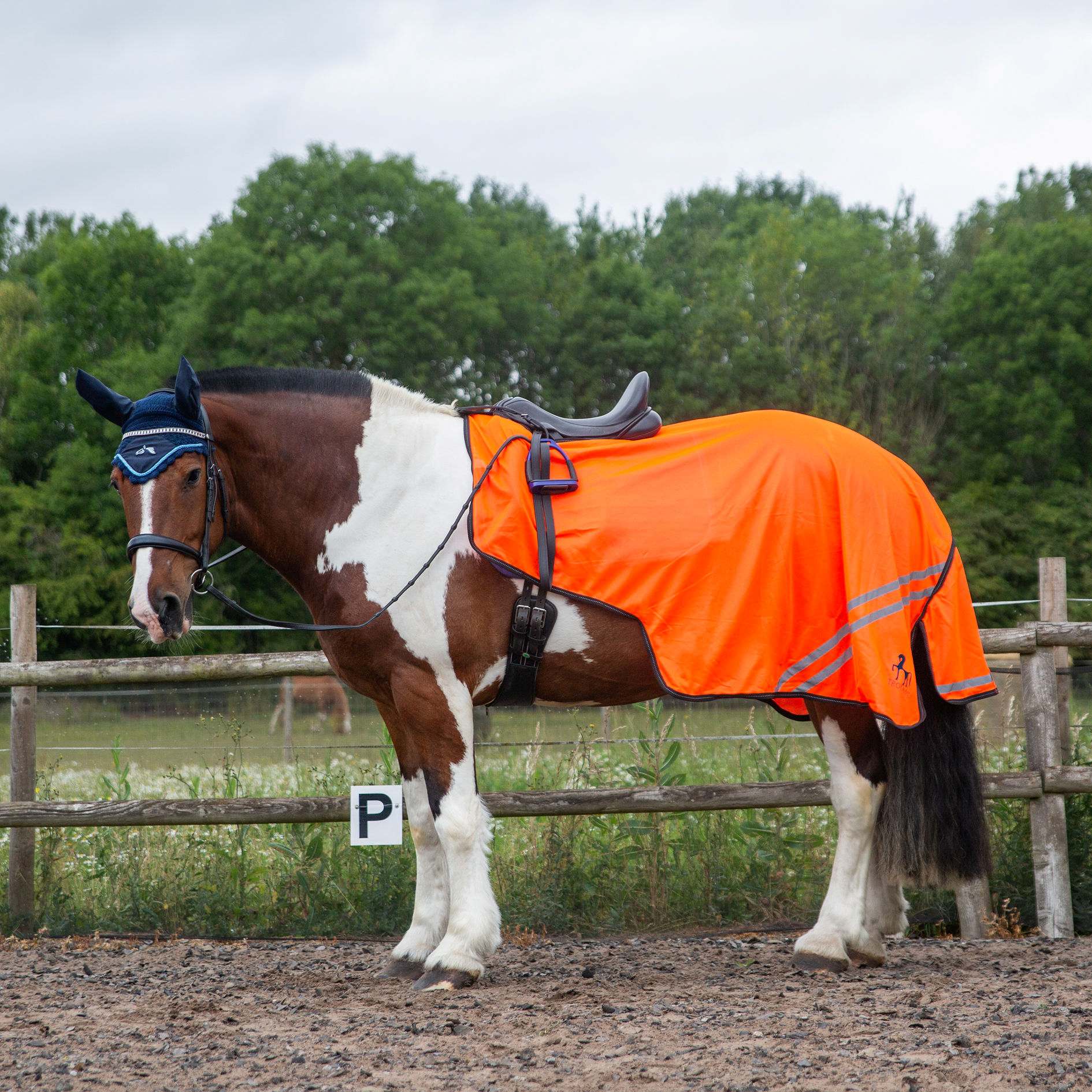 Gallop TROJAN/PONIE Retro Reflective Mesh Exercise Sheet, Orange or Yellow