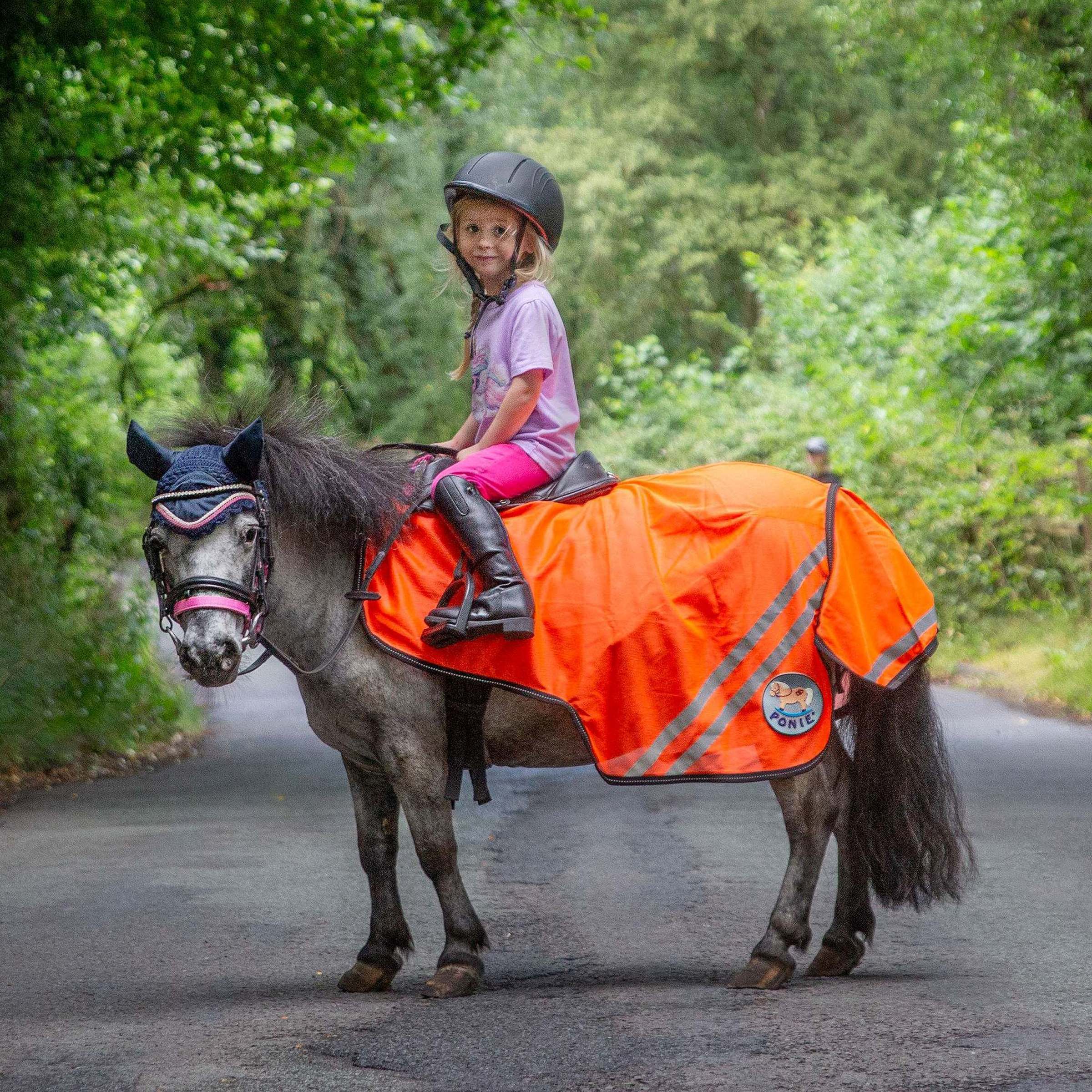 Gallop TROJAN/PONIE Retro Reflective Mesh Exercise Sheet, Orange or Yellow
