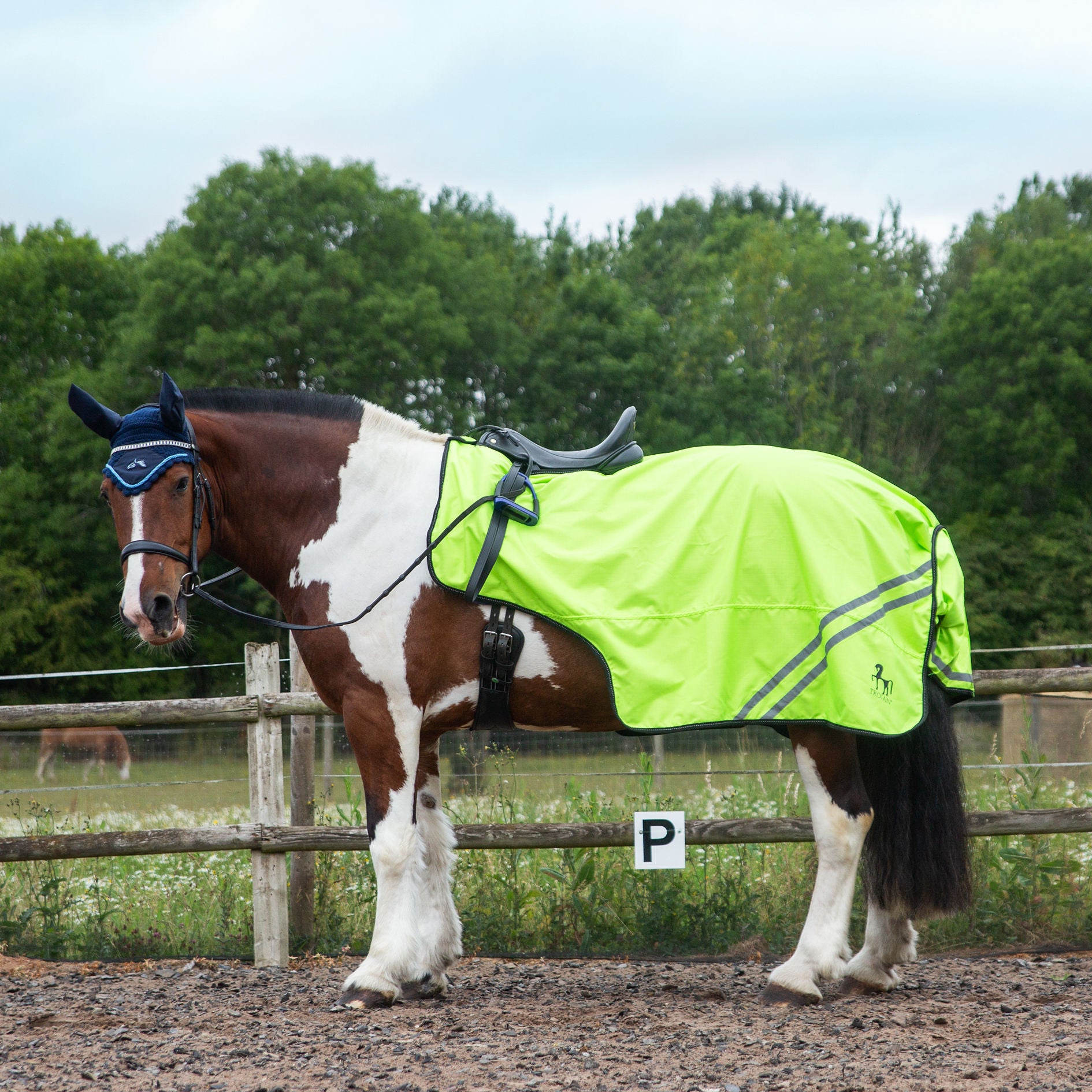 Gallop TROJAN/PONIE Retro Reflective Waterproof Exercise Sheet, Orange or Yellow