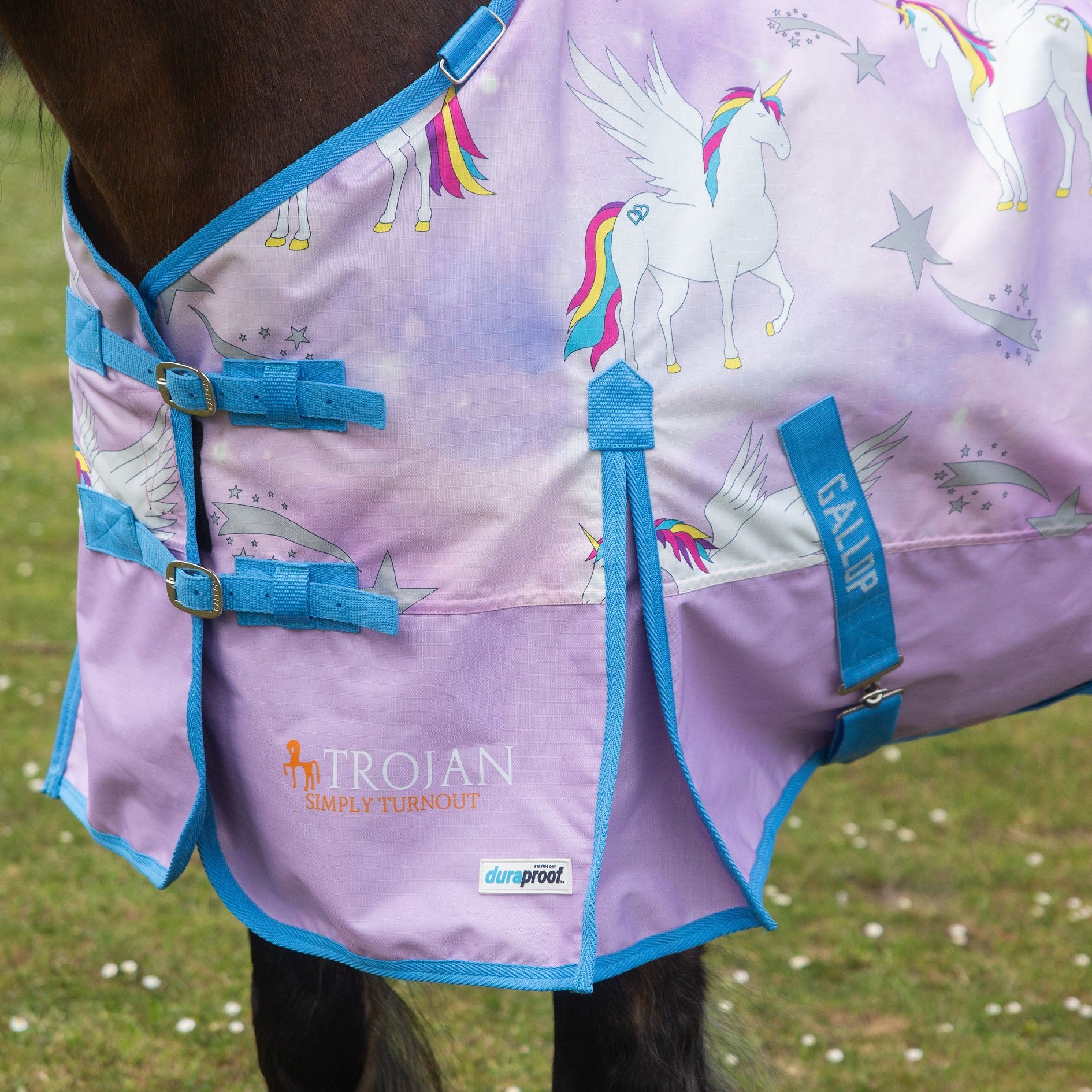 Gallop Trojan & Ponie  'Pegacorn' Duraproof 0g Horse Turnout Rug, 3'6"-7'0"