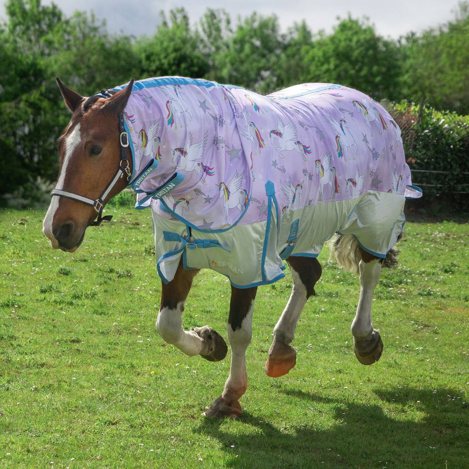 Gallop Trojan & Ponie  'Pegacorn' Combo Fly Rug,  3'6" - 7'0"