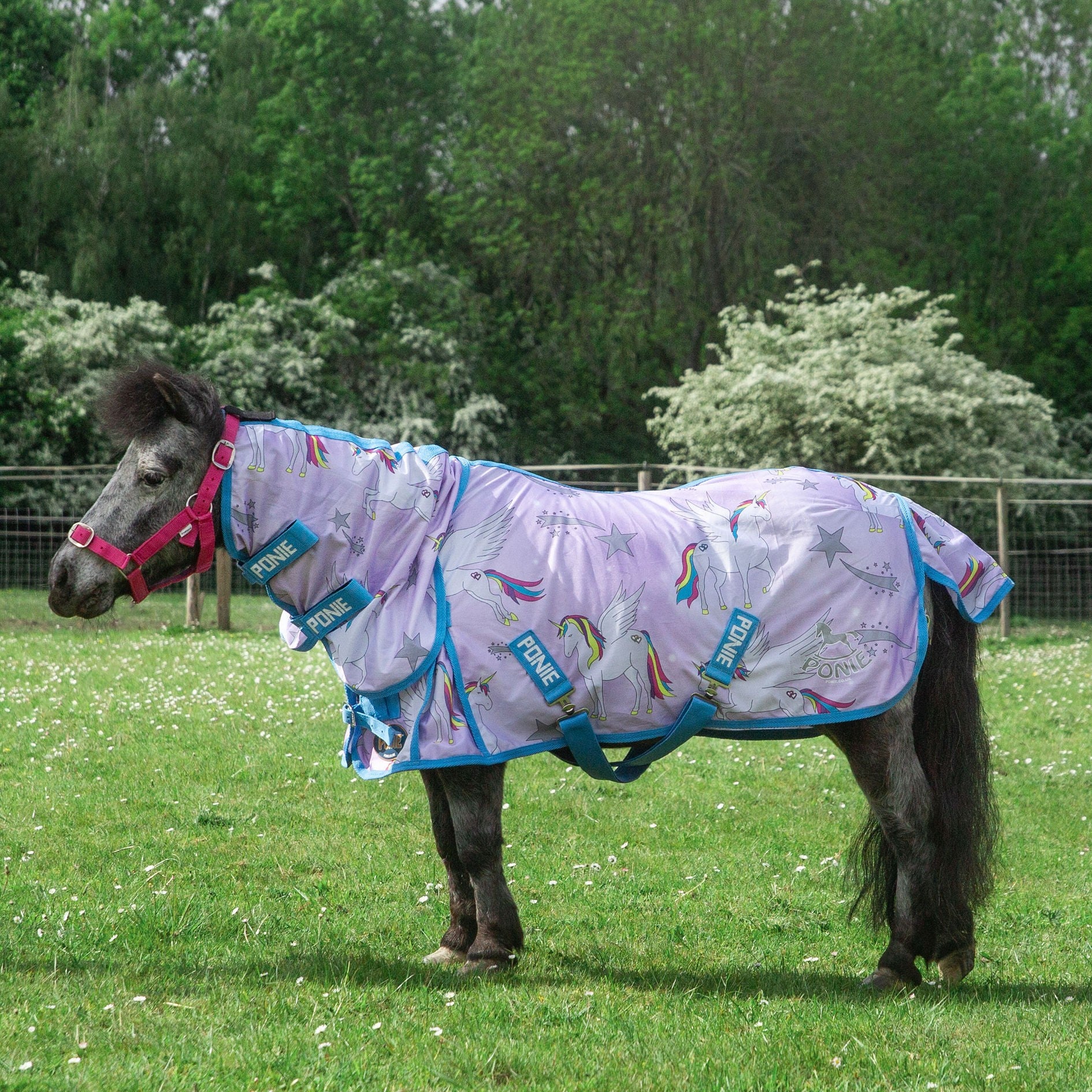 Gallop Trojan & Ponie  'Pegacorn' Combo Fly Rug,  3'6" - 7'0"