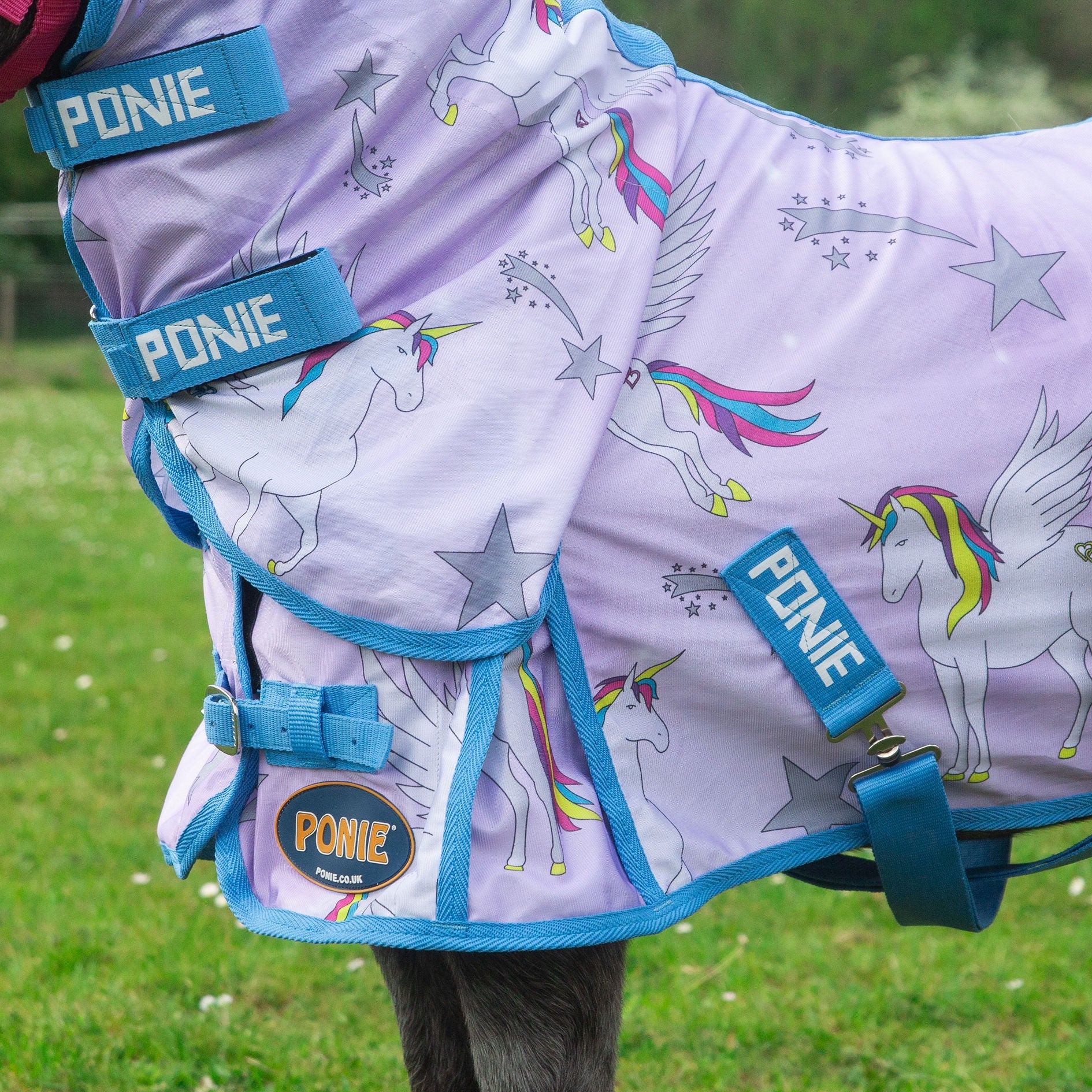 Gallop Trojan & Ponie  'Pegacorn' Combo Fly Rug,  3'6" - 7'0"