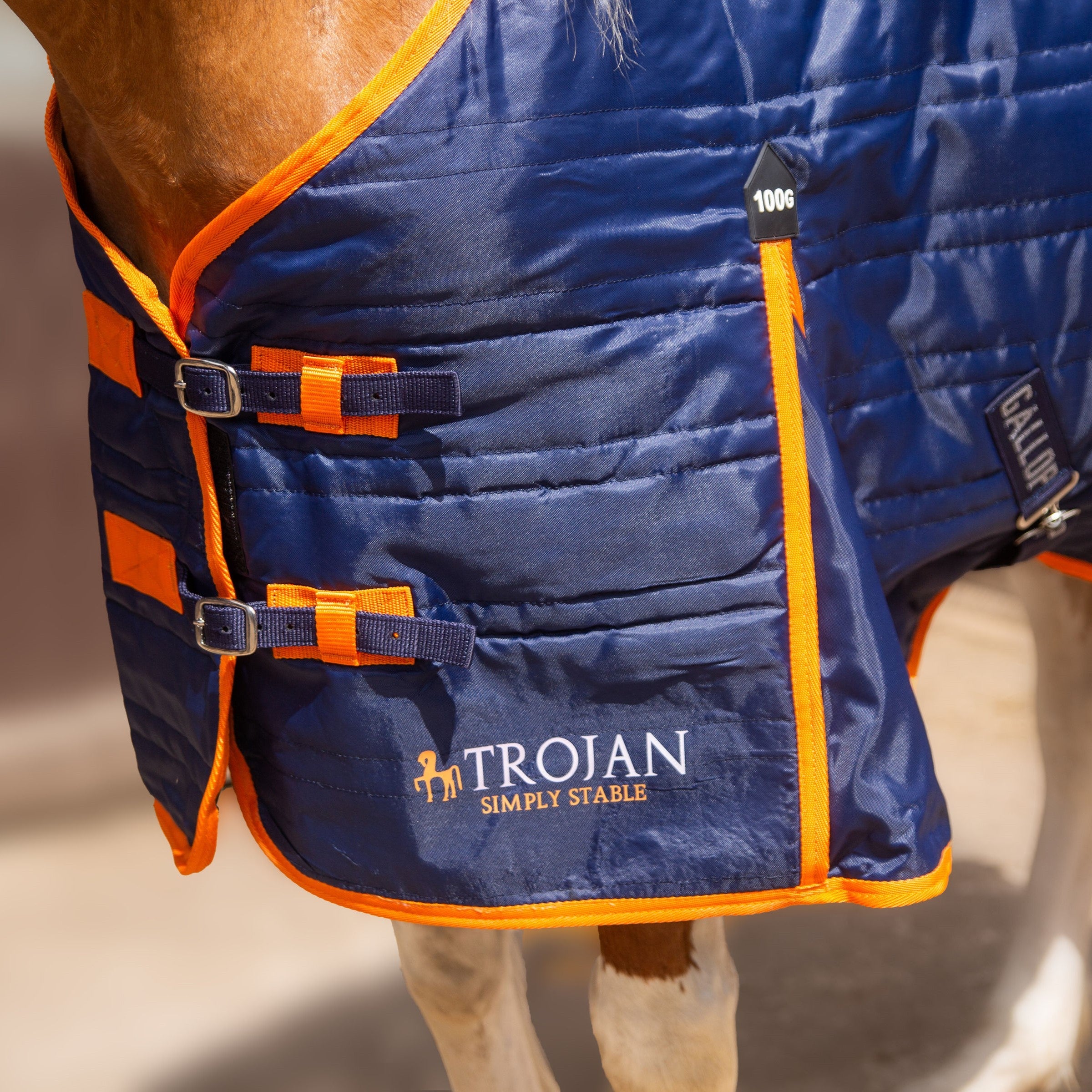 Gallop Trojan 100g Indoor Stable Rug Standard Neck In Navy/Orange