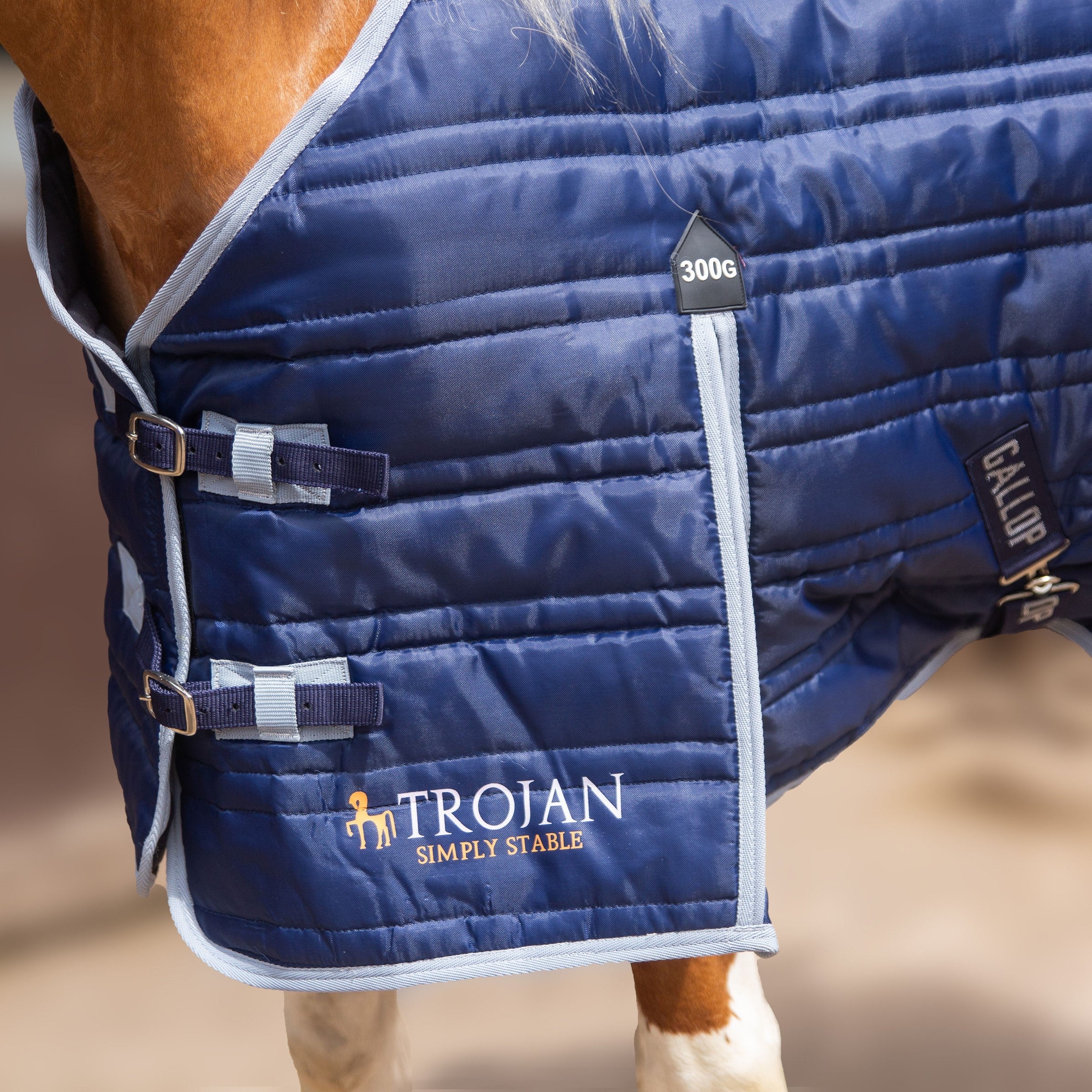 Gallop Trojan 300g Indoor Stable Rug Standard Neck In Navy/Grey