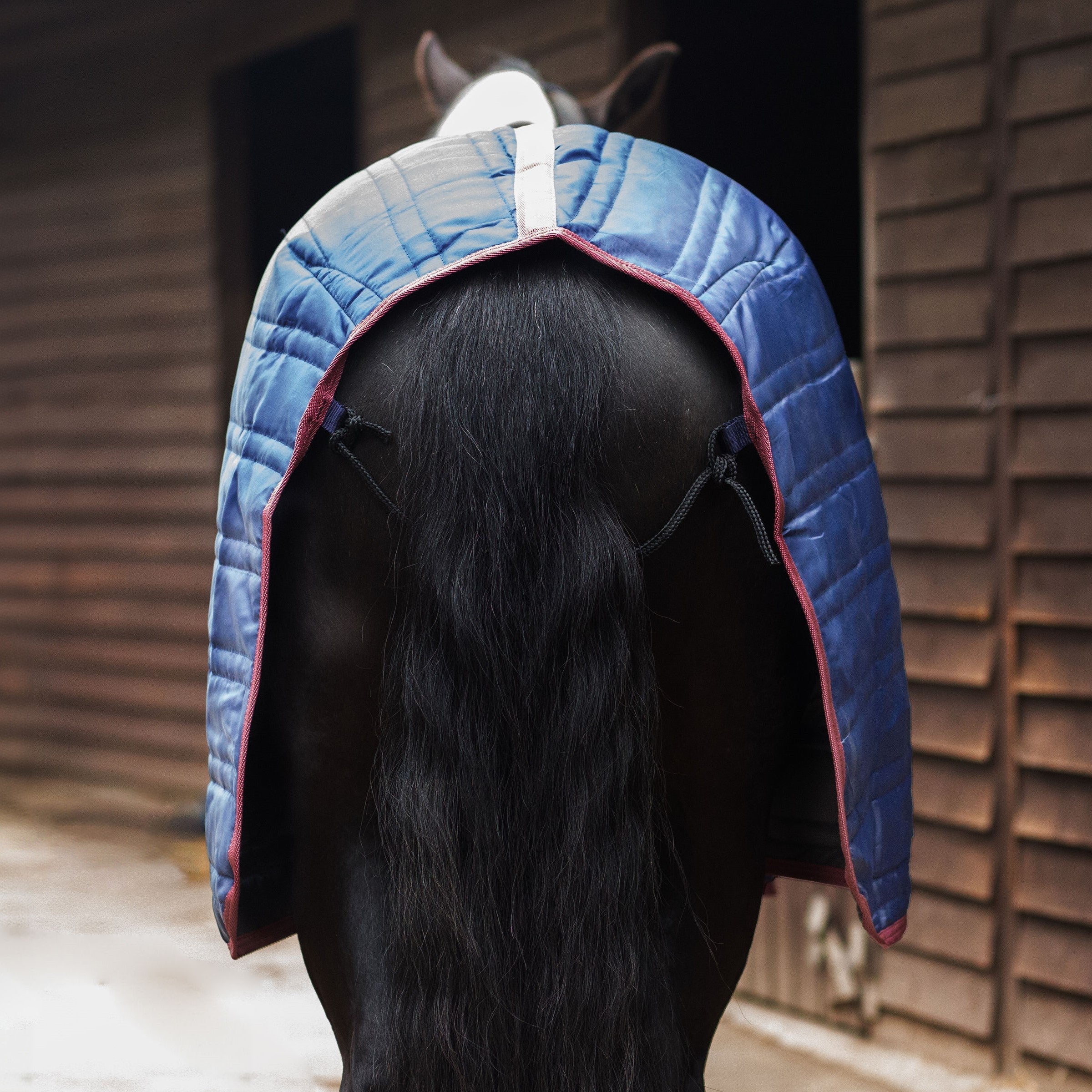 50G Stable Horse Rug, Gallop TROJAN 50g Stable Horse/Pony Rug