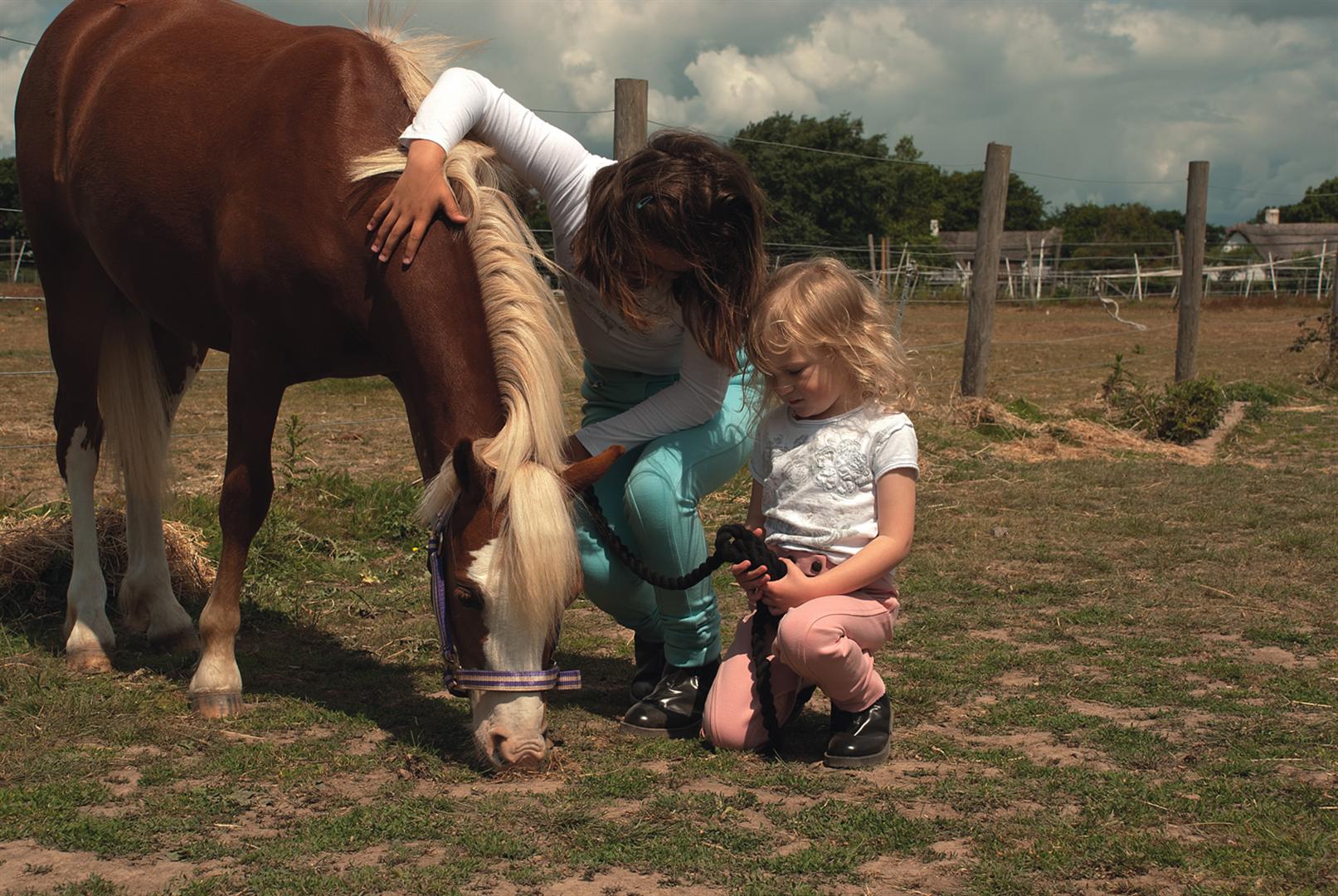 Rhinegold Childrens Classic Jodhpurs Horse Riding All Sizes / Colours