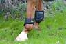 Picture of Shires Westropp Fetlock Boots