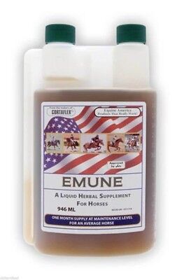 Picture of Equine America  Emune, Immunity Boost Contains Echinacea & Astragalus 1 Litre