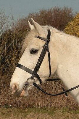 Picture of Heritage English Leather Plain Hunter Snaffle Bridle Flat Noseband