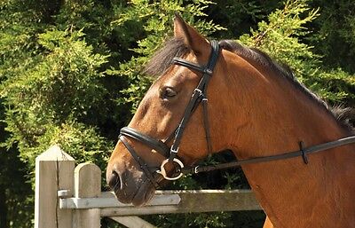 Picture of Windsor Leather Comfort Horse Pony Snaffle Bridle + Flash Noseband Rubber Reins