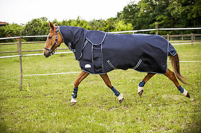 Picture of Turnout Rug Heavyweight,Ekkia Equi Theme Tyrex All-In-One 1680D 300g Turnout Rug