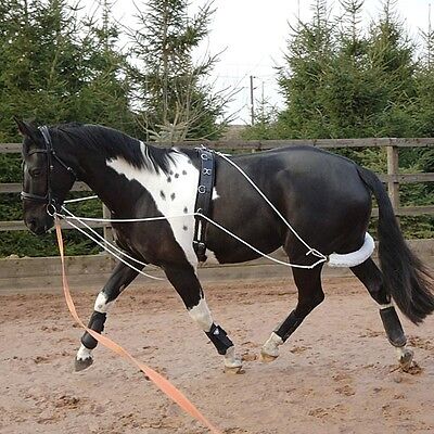 Picture of Fieldhouse Horse And Pony Training / Schooling / Lunging Aid