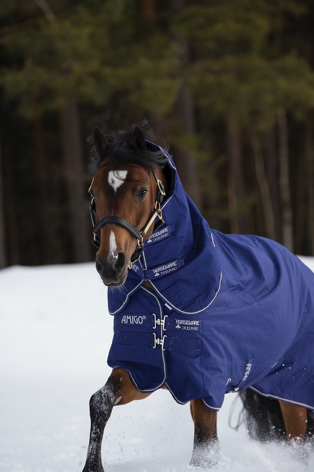 Picture of Horseware Amigo Hero 900 Plus 200g Turnout Rug Detachable Neck Standard Chest