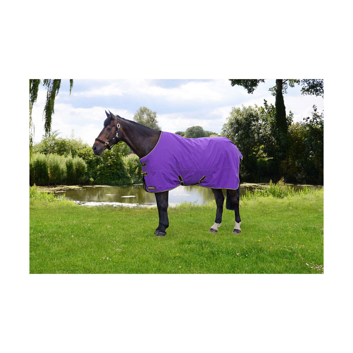 Picture of HY StormX Original 50g Horse Turnout Rug | Lightweight | Std Neck | Outdoor