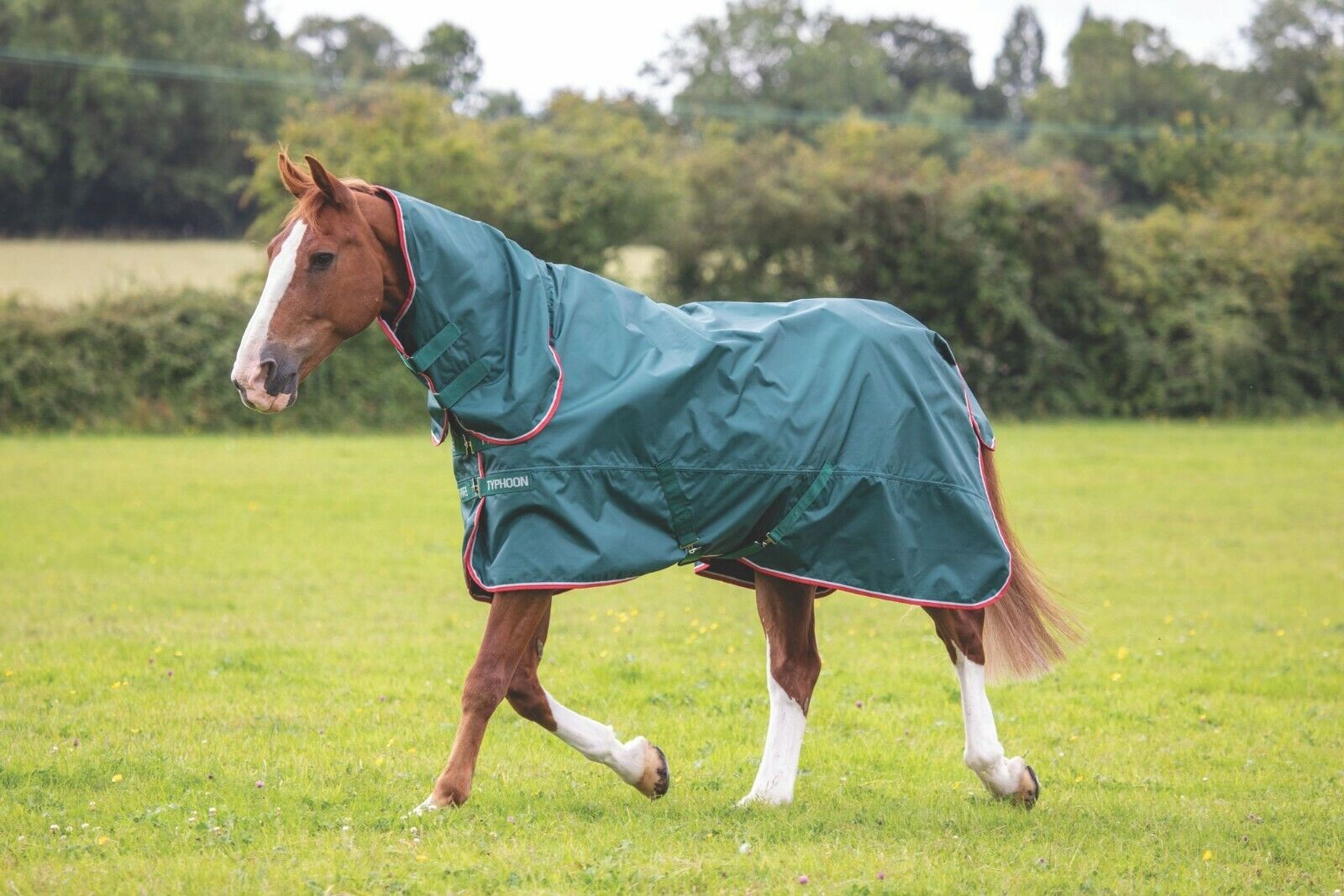 Picture of Shires Typhoon 0G Lite Combo Full Neck Lightweight Horse/Pony Turnout Rug |Green