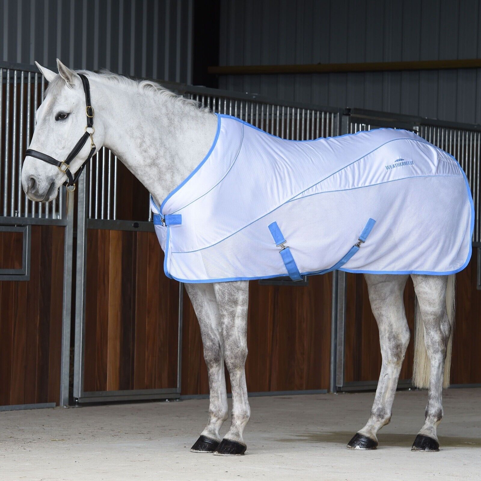 Picture of Weatherbeeta Air-Tec Horse Cooler / Travel Rug, Std Neck