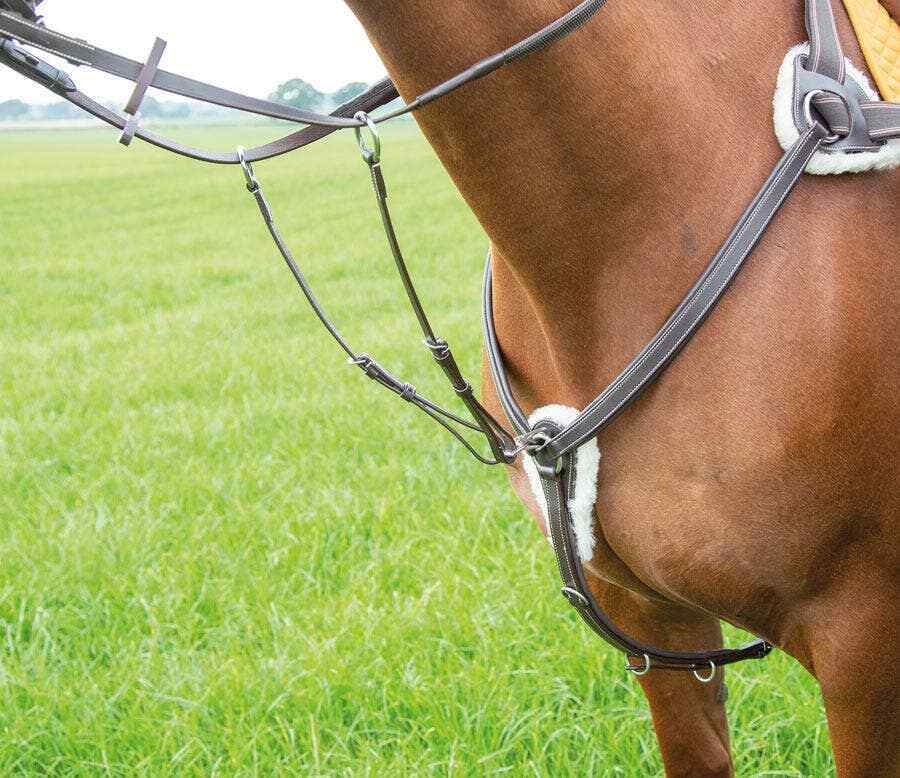 Picture of Shires Avignon Leather 5 Point Breastplate | 3 Colours