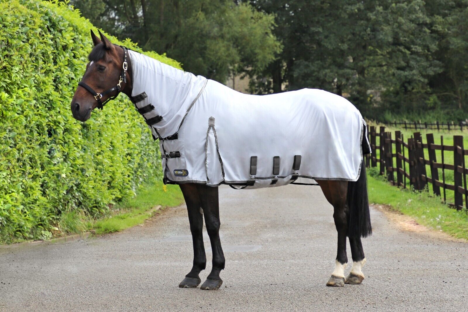 Picture of HY StormX Fly Rug Original Gladiator Fly Rug Horse/Pony Rug | 4'6" - 7'0"