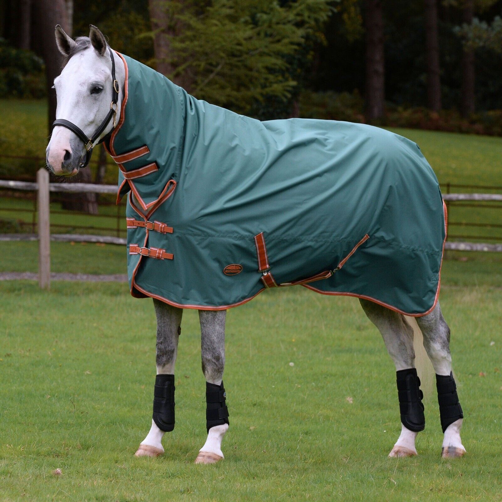 Picture of Weatherbeeta Comfitec Combo Turnout Rug, Tyro Full Neck, Lite Plus, 50g,