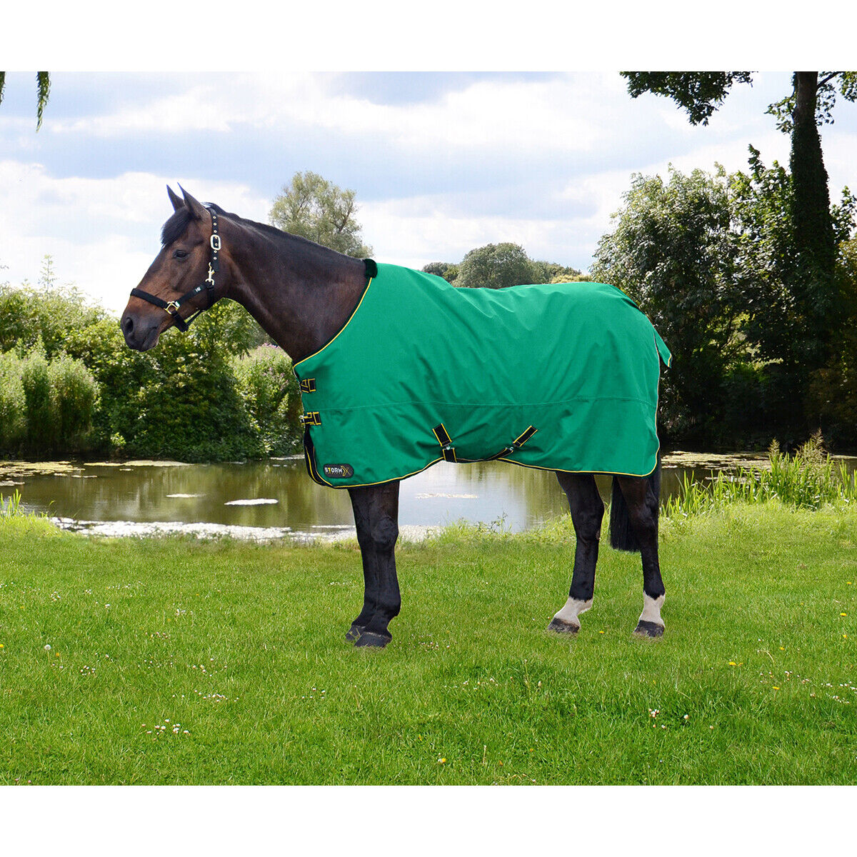 Picture of HY StormX Original 0g Horse Turnout Rug | Lightweight | Standard Neck | Outdoor