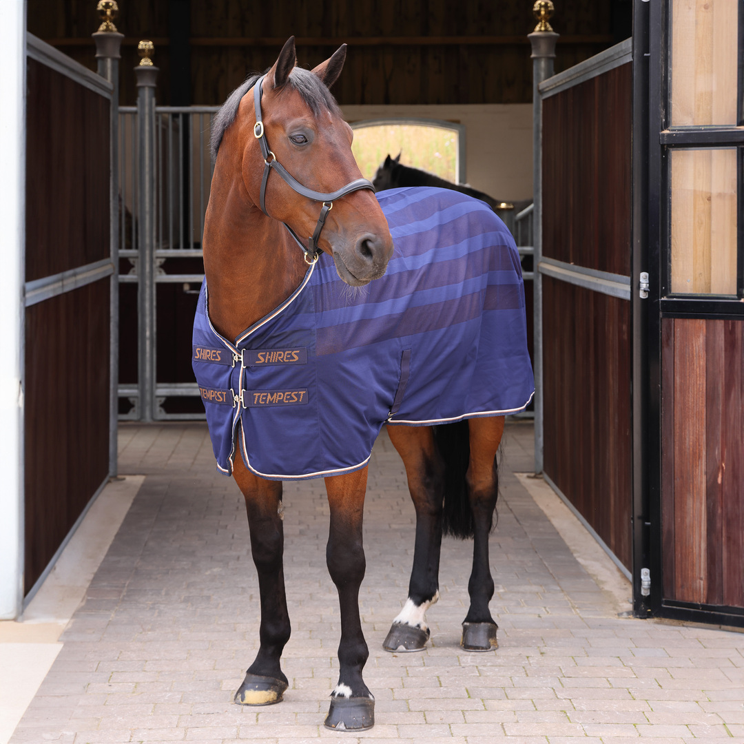 Picture of Shires Tempest Original Scrim Cooler / Travel Rug, 3 Colours,  5'0" - 7'0"