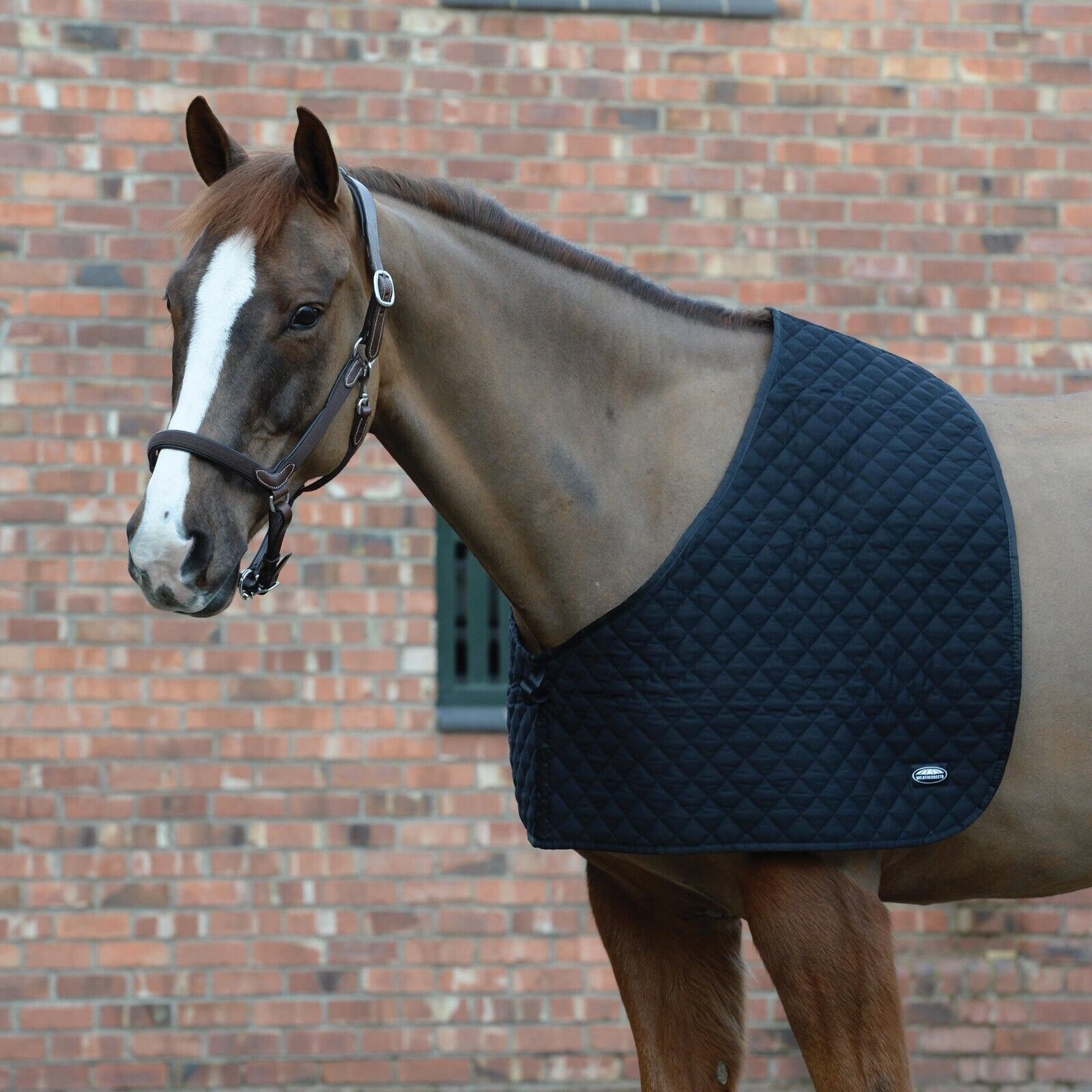 Picture of Weatherbeeta Deluxe Shoulder Guard,  Show Prep Anti Rub Horse Vest