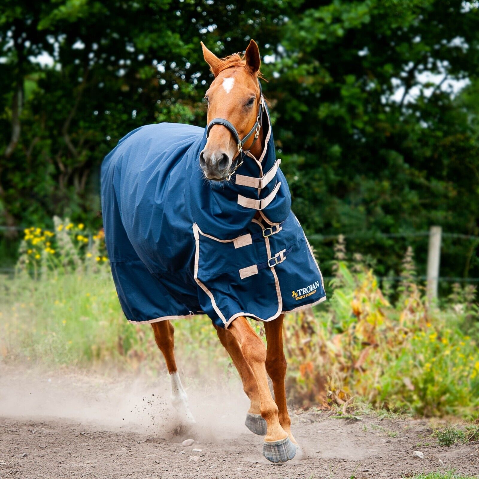 Picture of 50g Horse Turnout Rug Full Neck Combo, Gallop Trojan Lightweight Rug, Navy/Beige