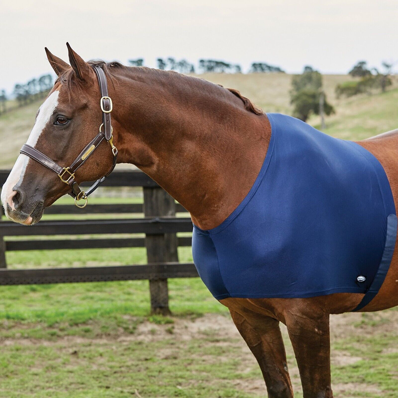 Picture of Weatherbeeta Stretch Shoulder Guard,  Show Prep Anti Rub Horse Vest