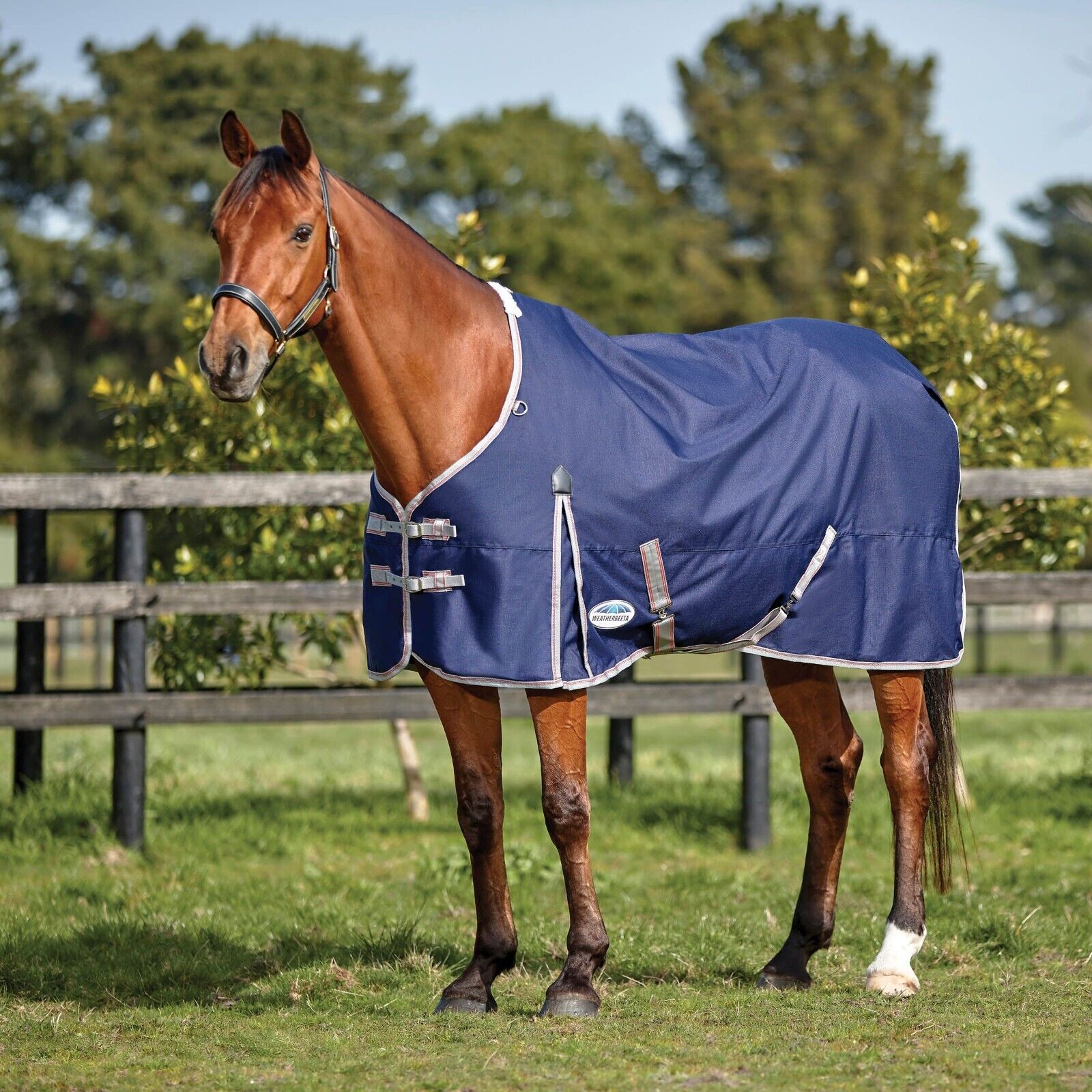 Picture of Weatherbeeta Comfitec Essential Turnout Rug, 0g, 1200D, Lite,  2 Colours