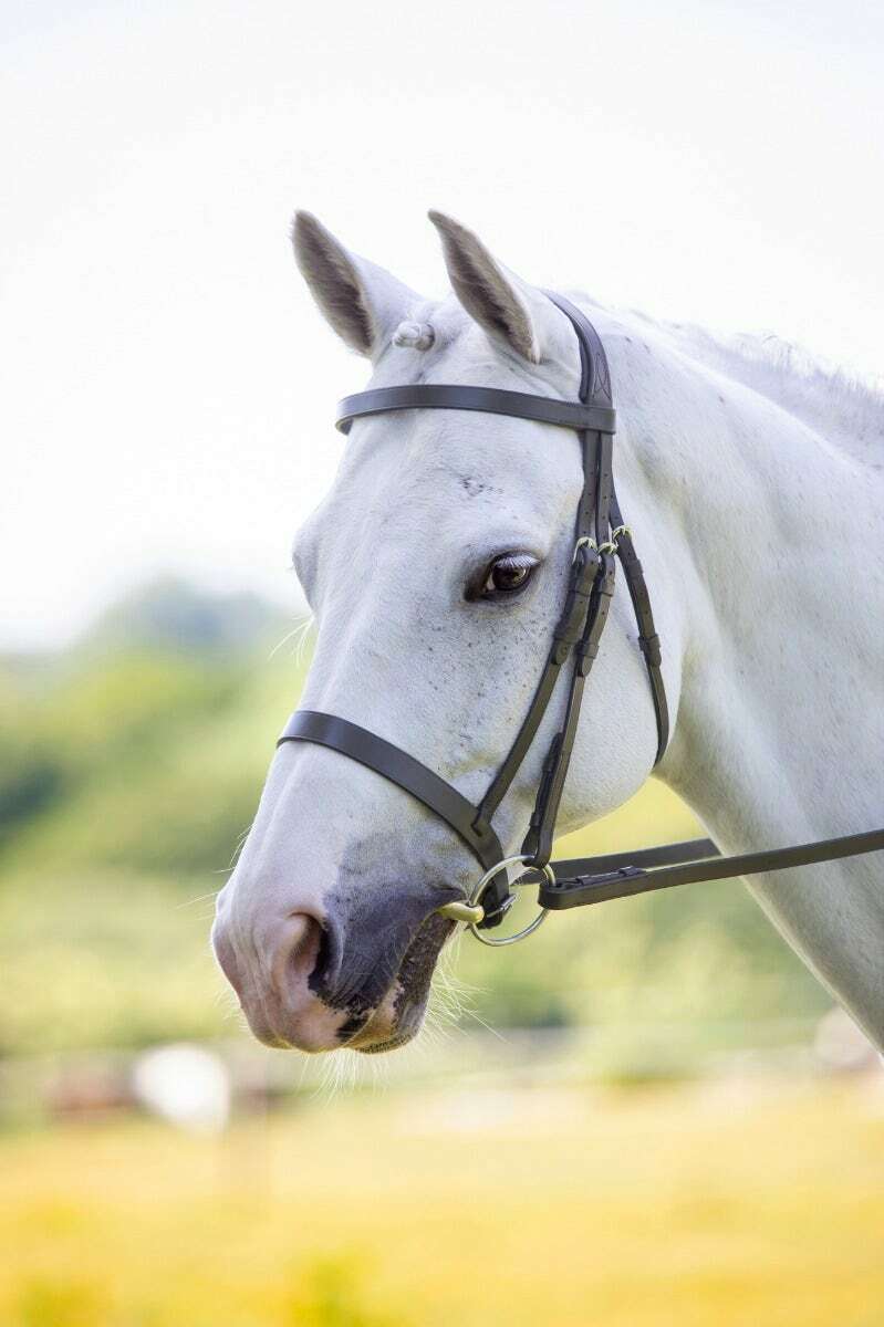 Picture of Shires Velociti Rapida Hunter Cavesson Bridle | 2 Colours | 4 Sizes