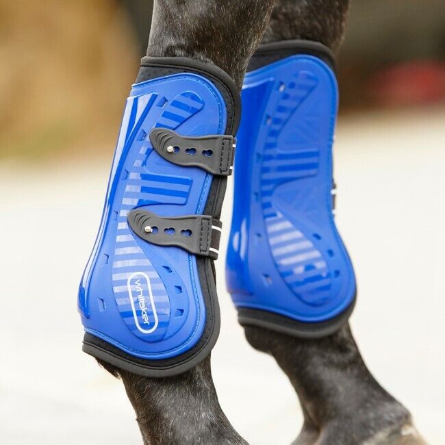 Picture of Whitaker Bingley Tendon & Fetlock Boots | Set Of 4 | Horse Boots | 4 Colours