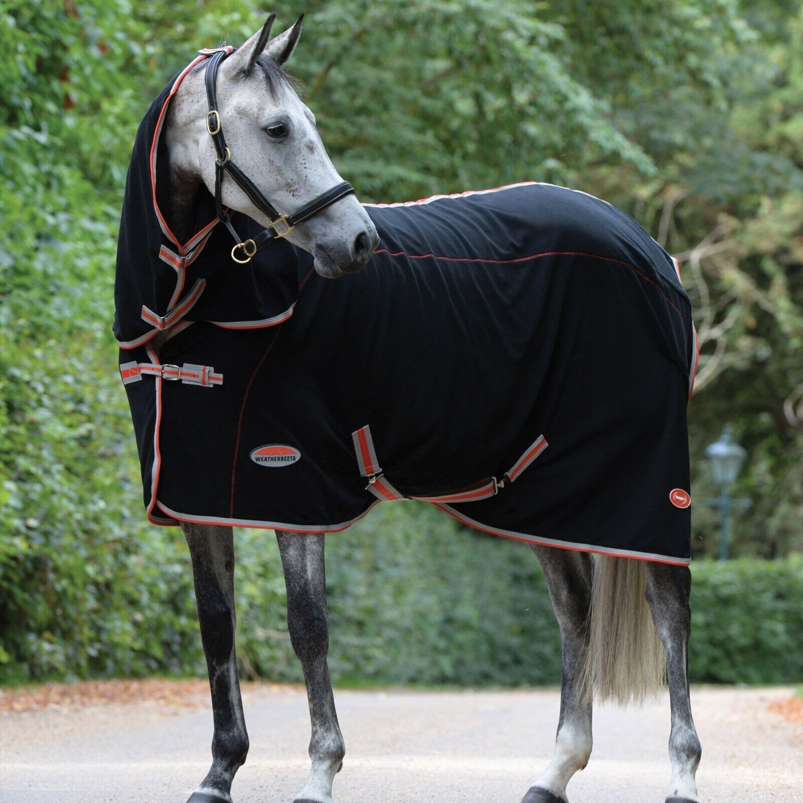Picture of Weatherbeeta Therapy-Tec Fleece Cooler / Travel Rug, Combo Full Neck
