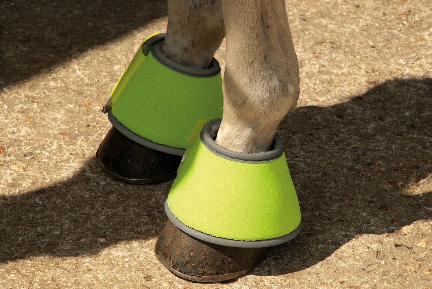 Picture of Rhinegold Reflective Over Reach Boots | Neoprene | Yellow | Pony, Cob, Full