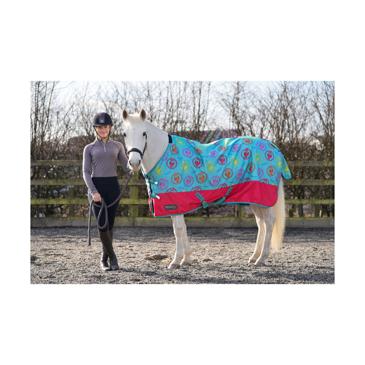 Picture of HY StormX 50g Turnout Horse Rug,  Original 50 Thelwell Collection All Rounder