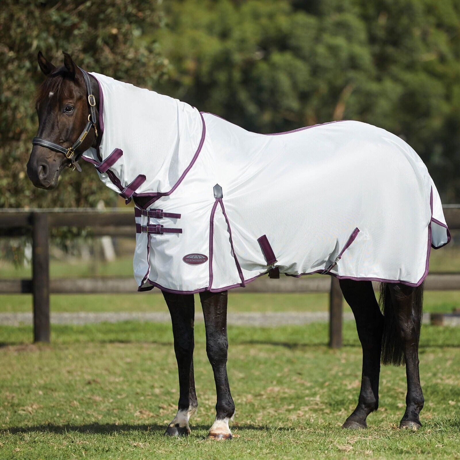 Picture of WeatherBeeta ComFiTec Essential Mesh  Fly Horse Rug, Combo Full Neck, 3 Colours