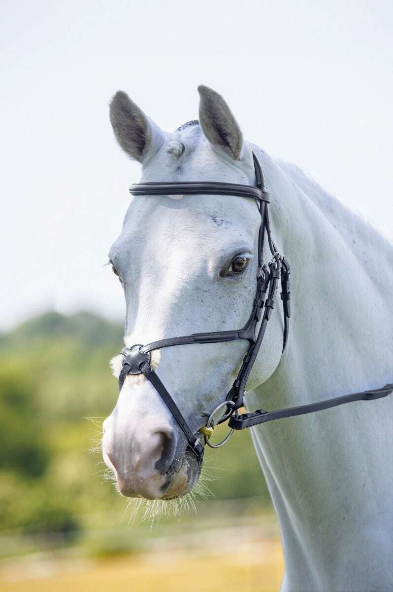 Picture of Shires Velociti Rapida Leather Grackle Bridle | 2 Colours | 4 Sizes