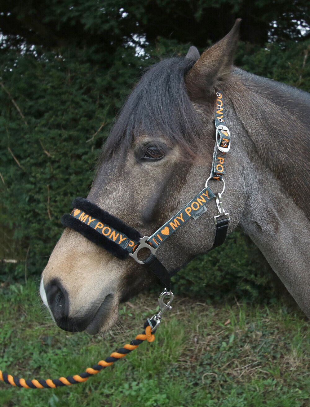 Picture of Rhinegold Love My Pony Headcollar & Lead Rope Set | 7 Colours | 4 Sizes