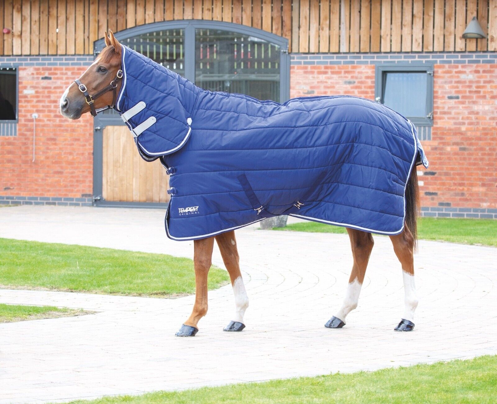 Picture of Shires Tempest Original 200G Full Neck Combo Horse Stable Rug | Navy | 4'0"-7'3"