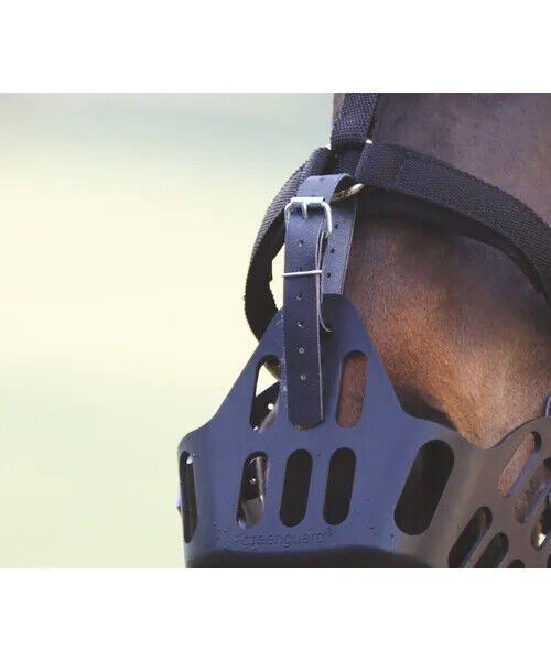 Picture of Greenguard Spare Strap | Black | Onesize | Sold as Singles