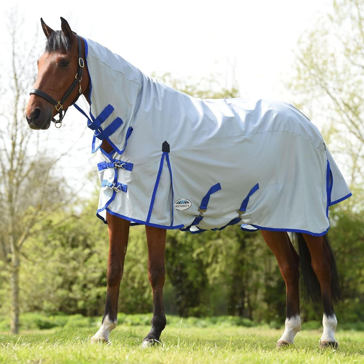 Picture of WeatherBeeta ComFiTec Fly Horse Rug, 600D/Mesh II Combo Full Neck , Belly Band