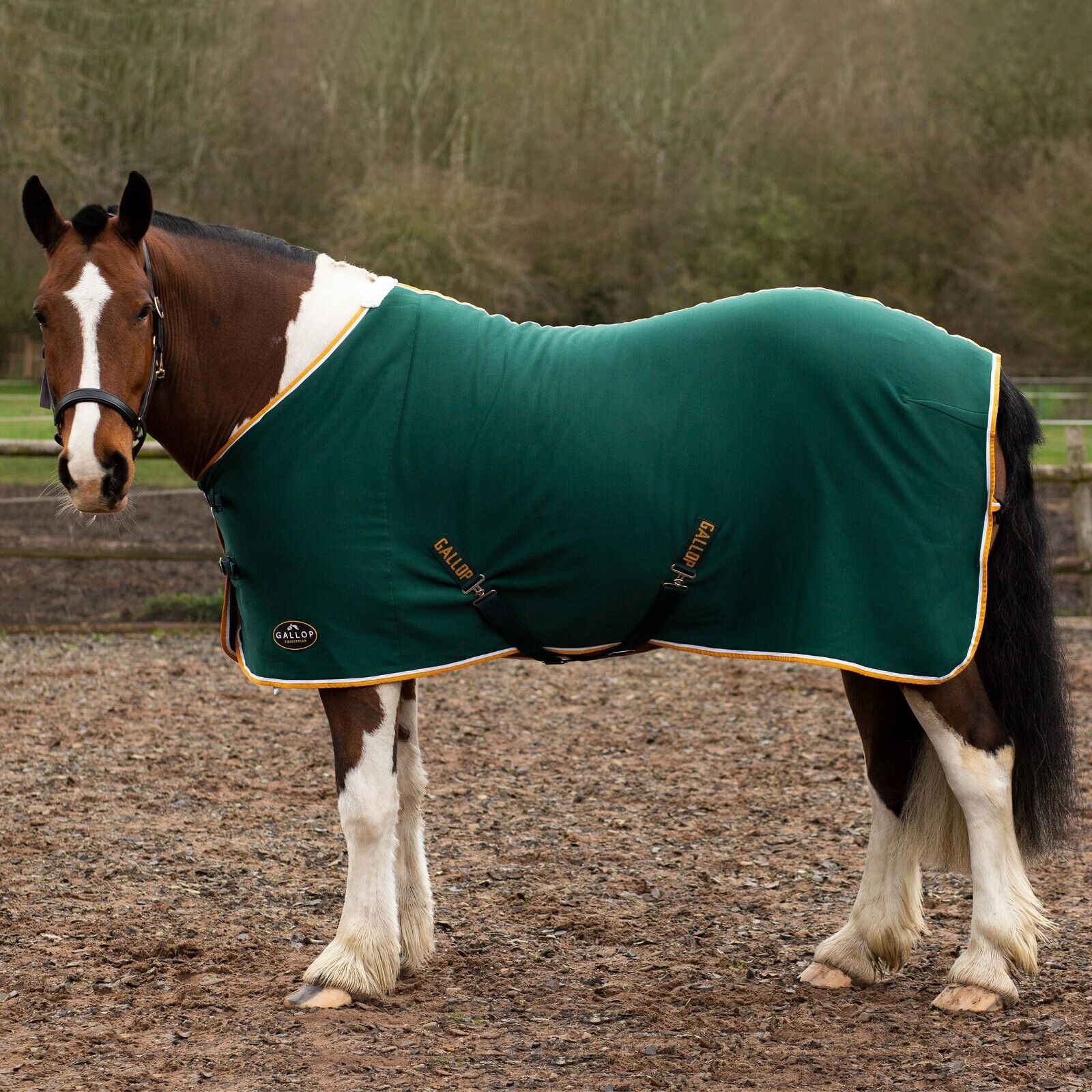 Picture of GALLOP Jersey Cooler / Travel Horse Rug | Lightweight | 4'9" - 7'0", 4 Colours