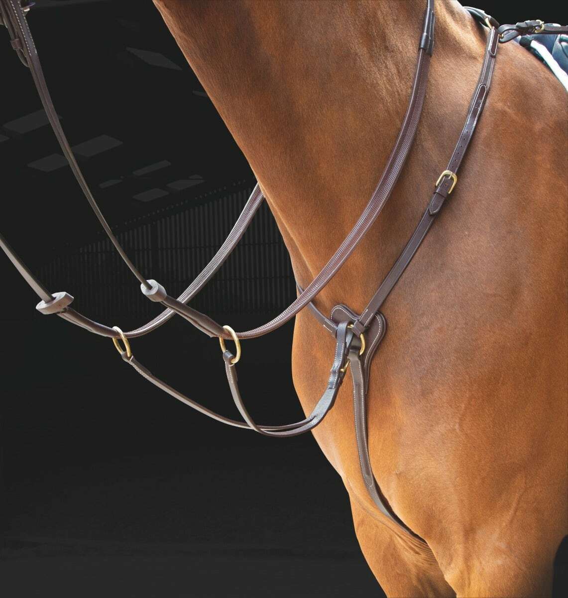 Picture of Shires Salisbury Leather 3 (Three) Point Breastplate  | 2 Colours