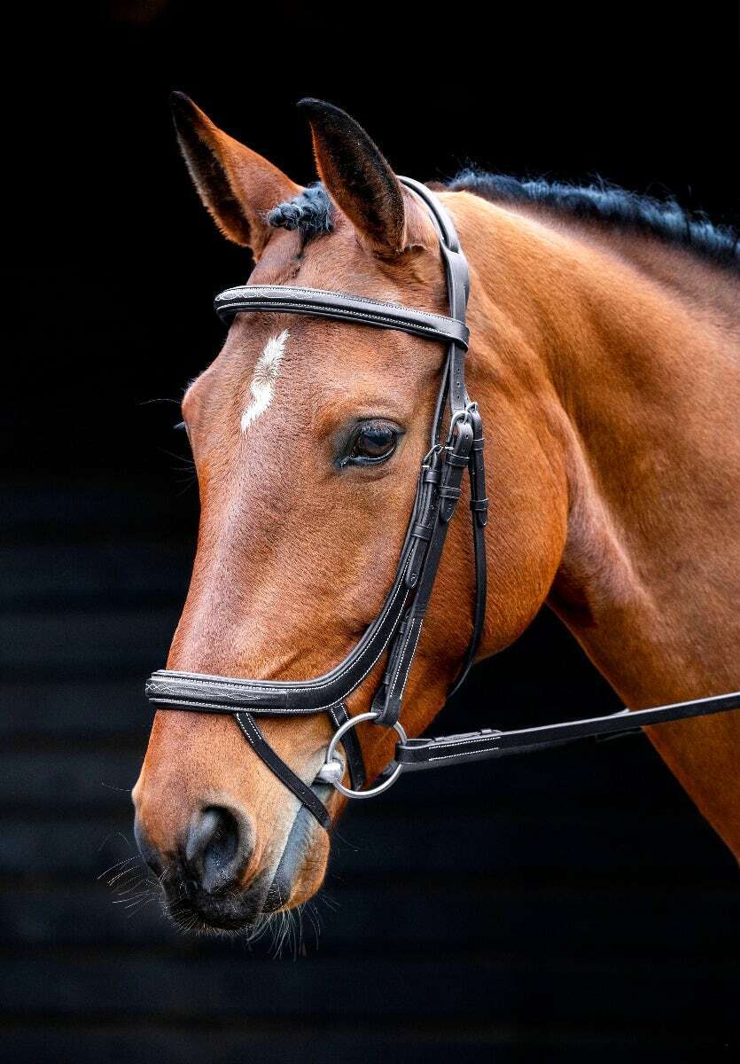 Picture of Shires Salisbury Buckingham Horse / Pony Snaffle Bridle  |  Black or Aus Nut